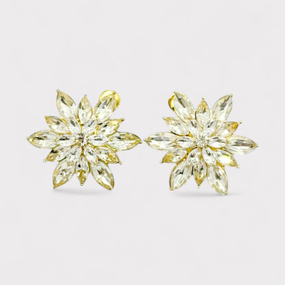 Orecchini Crystal Flower