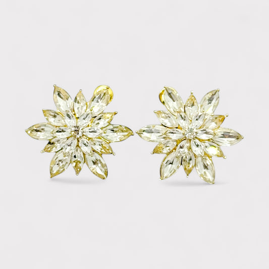 Orecchini Crystal Flower